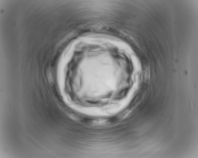 X0000077380335200611172020