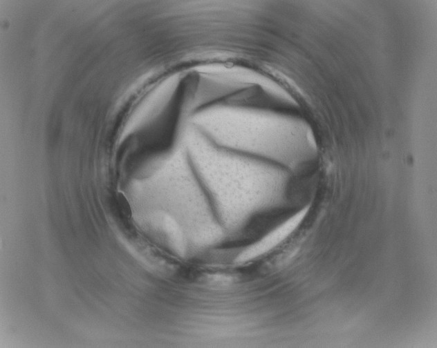 X0000077380352200611172020