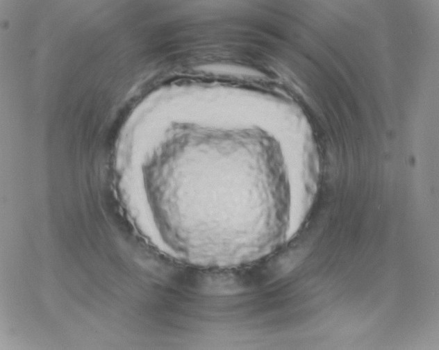X0000077380355200611172020