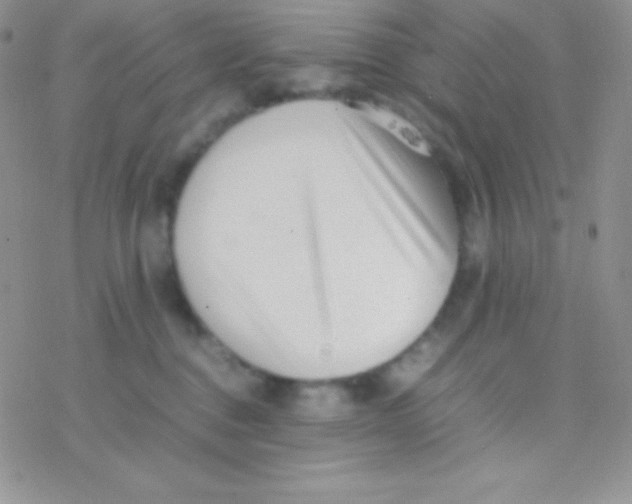 X0000077380376200611172020