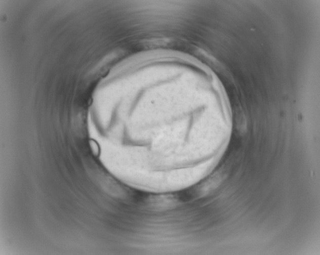 X0000077380378200611172020