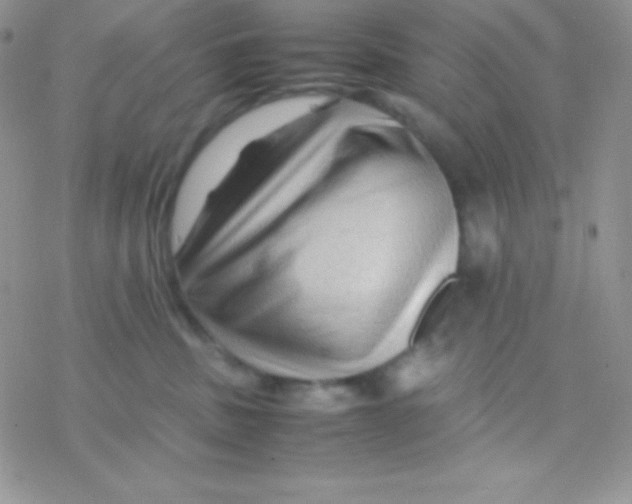 X0000077380379200611172020