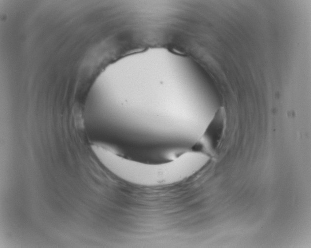 X0000077380384200611172020