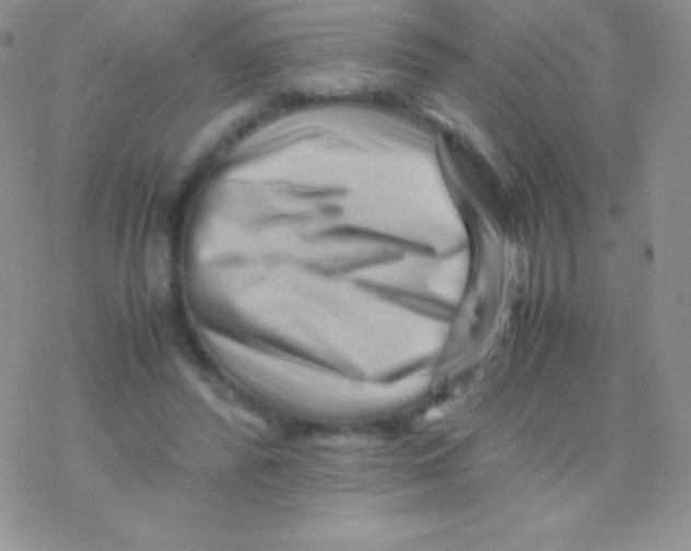 X0000077380400200611172019