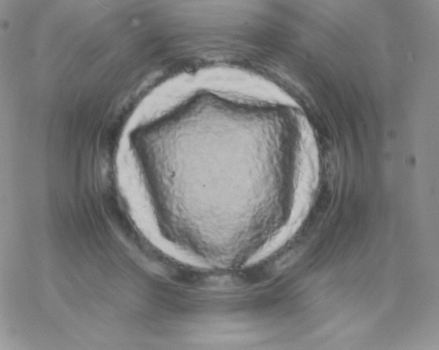 X0000077380406200611172019