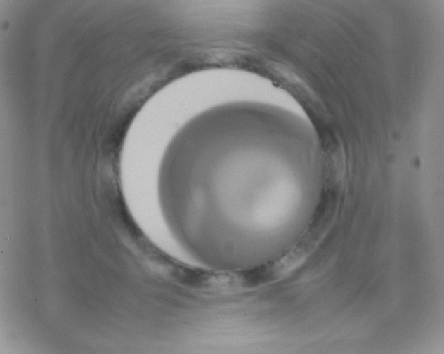 X0000077380415200611172019