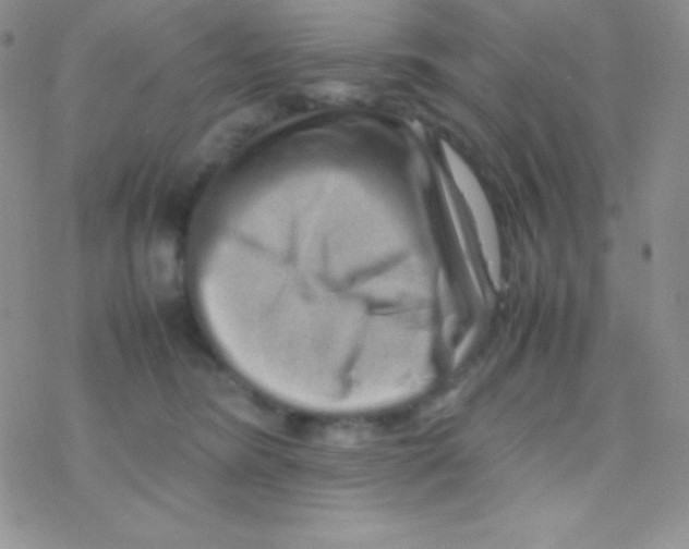 X0000077380420200611172019