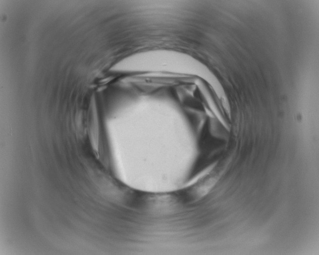 X0000077380428200611172019