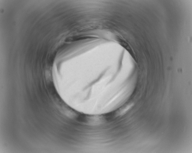 X0000077380432200611172019