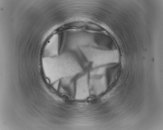 X0000077380438200611172018