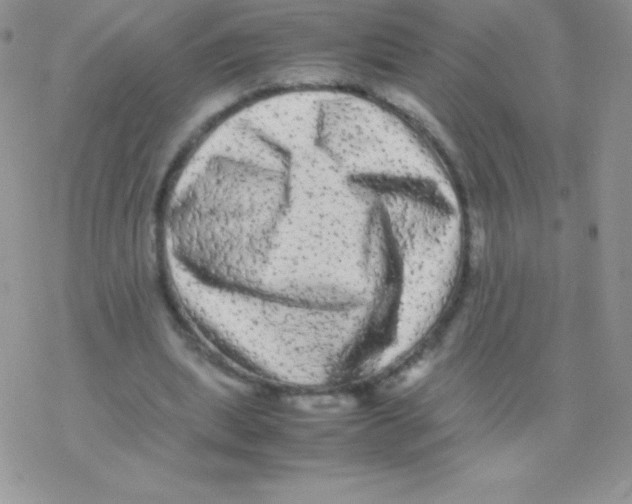 X0000077380439200611172018