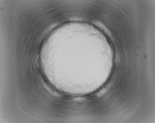 X0000077380441200611172018