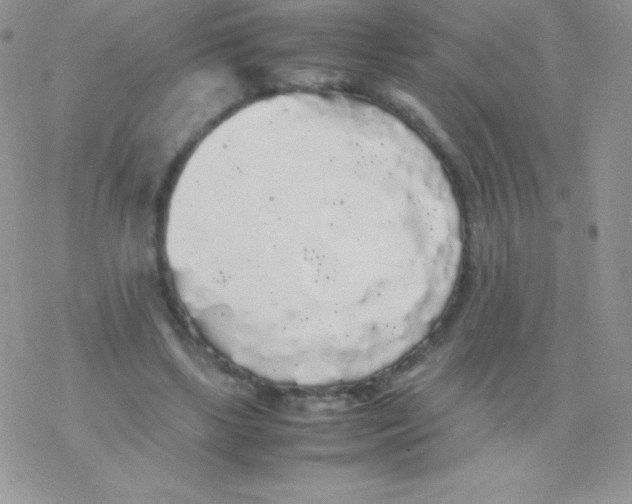 X0000077380443200611172018