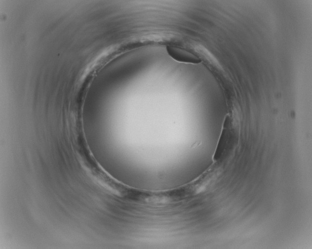 X0000077380444200611172018