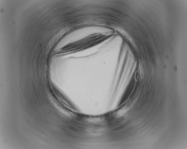 X0000077380445200611172018