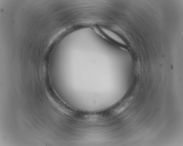 X0000077380448200611172018