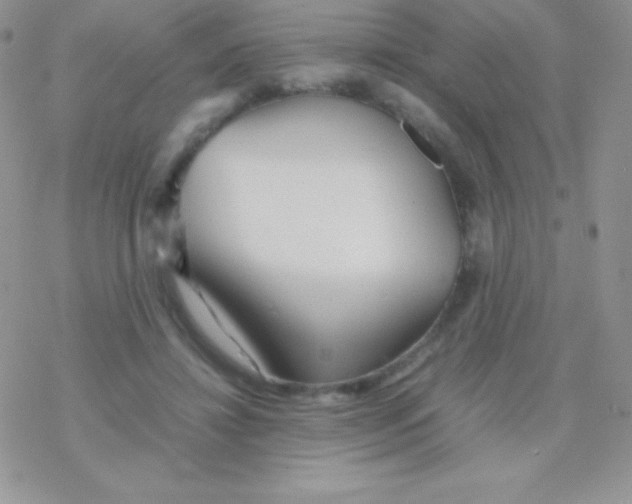 X0000077380452200611172018