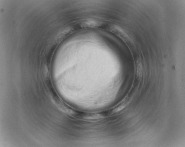 X0000077380459200611172018
