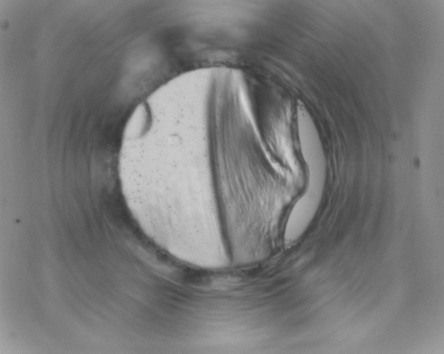 X0000077380462200611172018