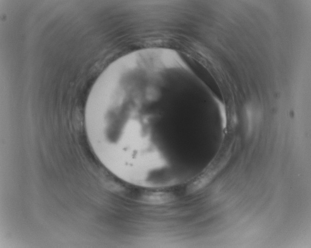 X0000077380467200611172018