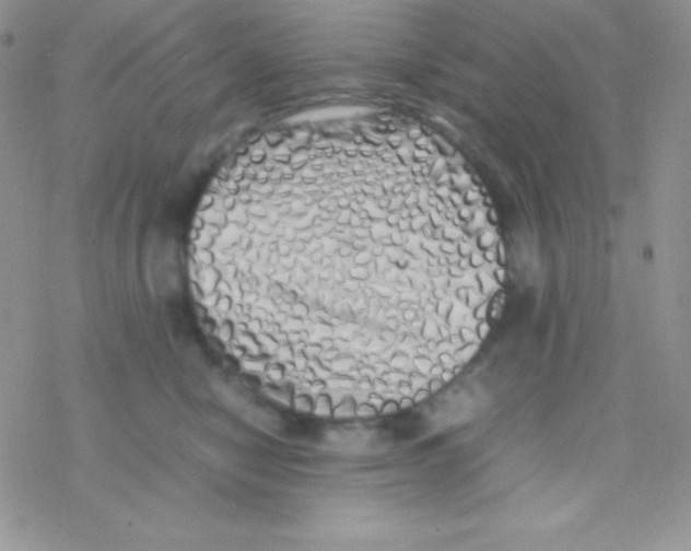 X0000077380470200611172018
