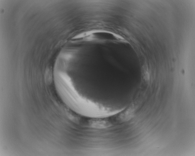 X0000077380471200611172018