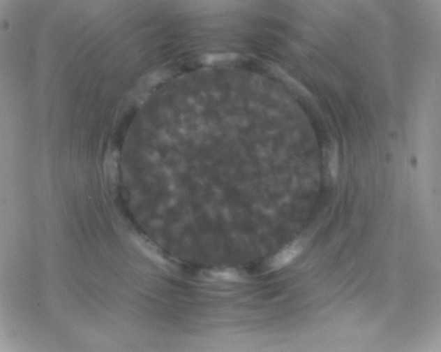 X0000077380475200611172018