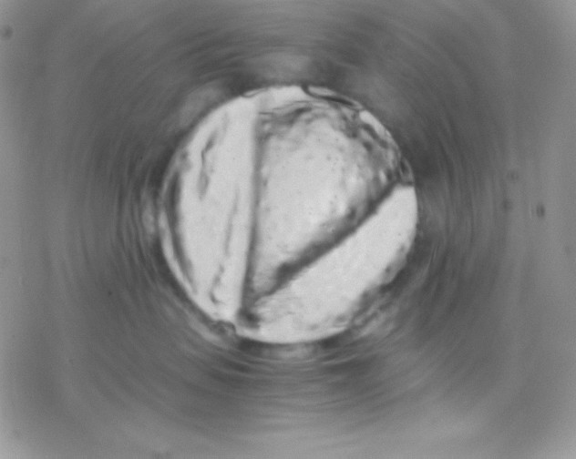 X0000077380479200611172018