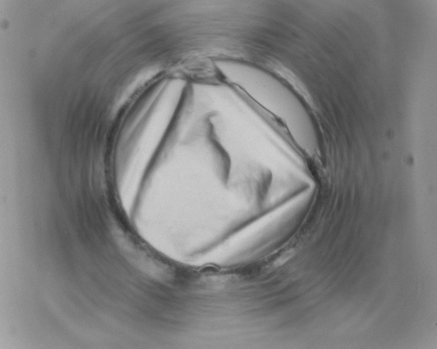 X0000077380482200611172018