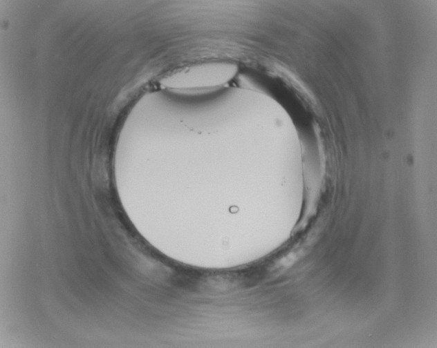 X0000077380489200611172018