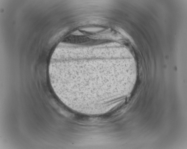 X0000077380493200611172018
