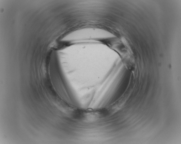 X0000077380508200611172017