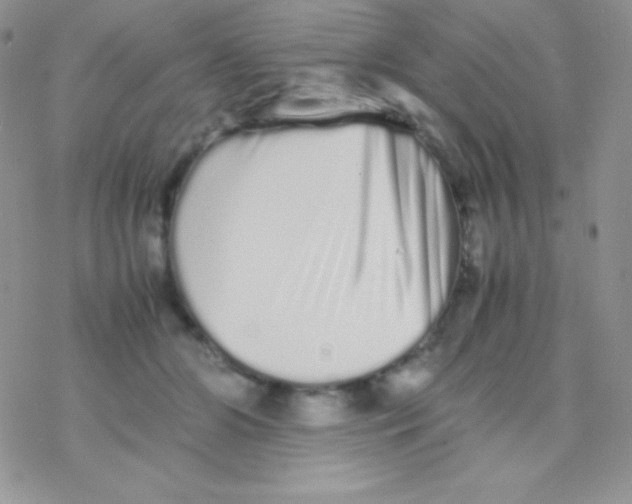 X0000077380510200611172017