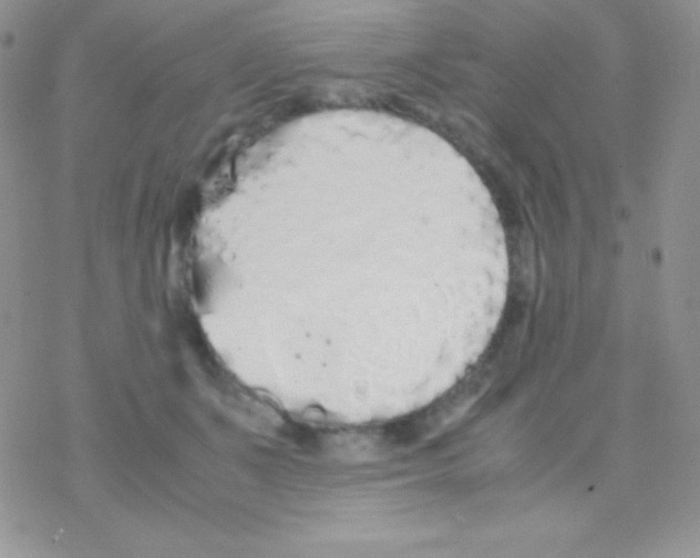 X0000077380511200611172017