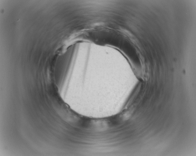 X0000077380520200611172017
