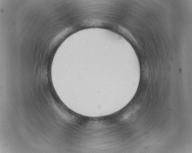 X0000077380538200611172016