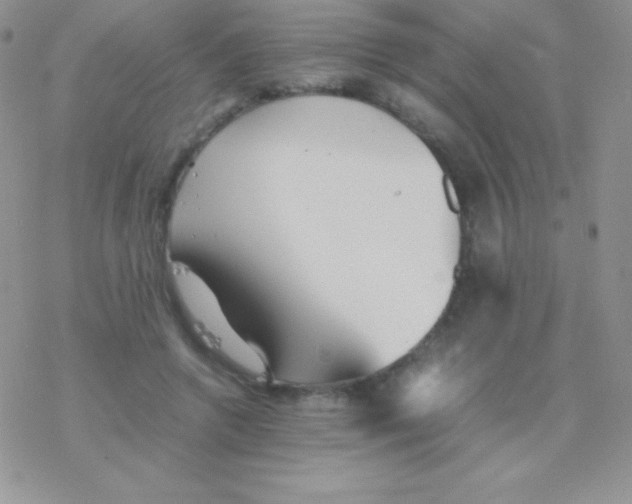 X0000077380546200611172016