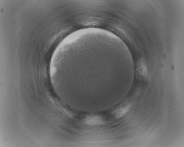 X0000077380547200611172016
