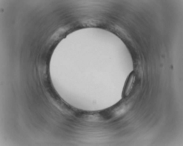 X0000077380548200611172016