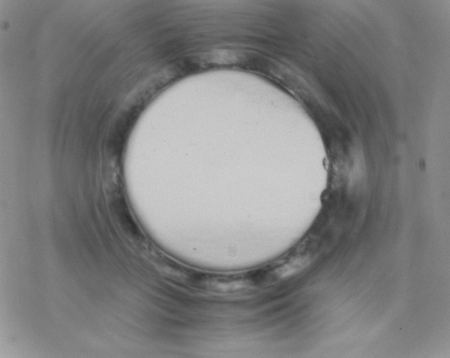 X0000077380555200611172017