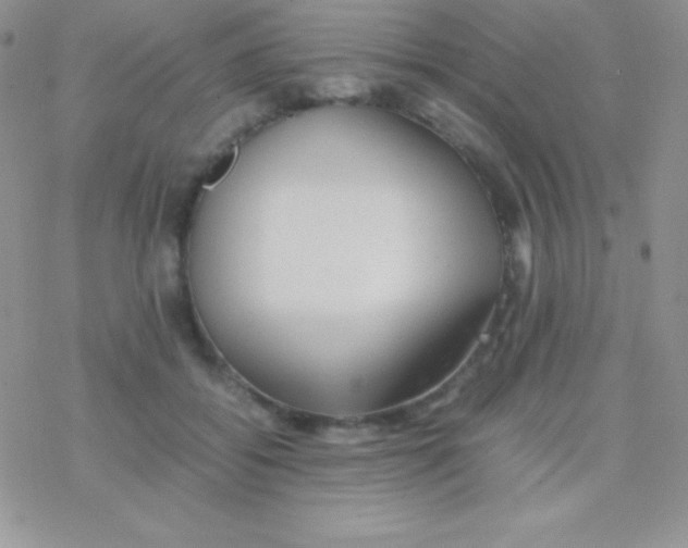 X0000077380556200611172017