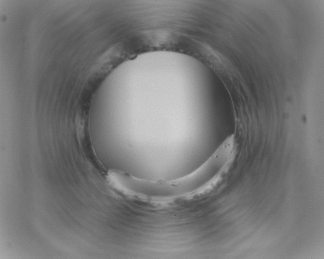X0000077380558200611172017