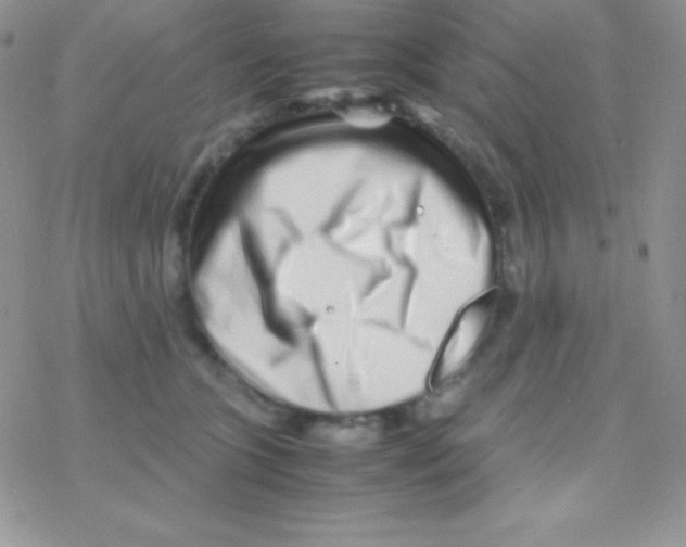 X0000077380563200611172017