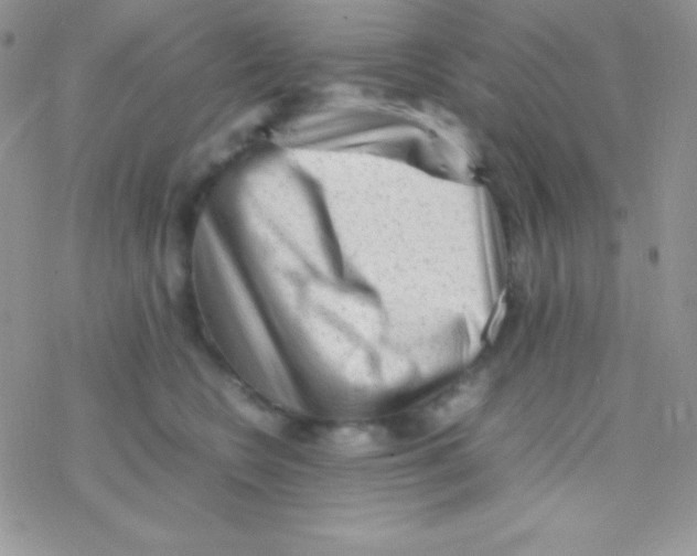 X0000077380566200611172017