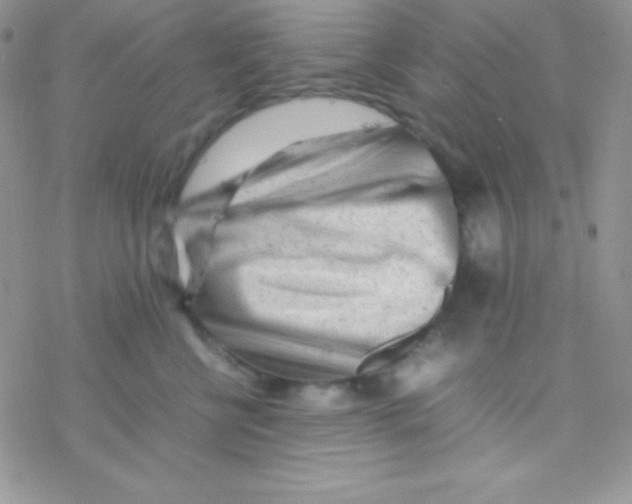 X0000077380570200611172017