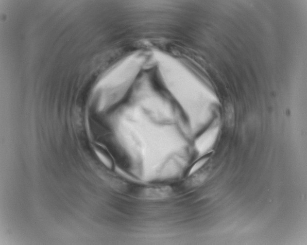 X0000077380571200611172017