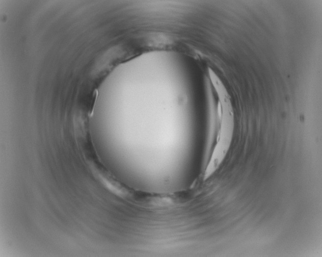 X0000077380572200611172017