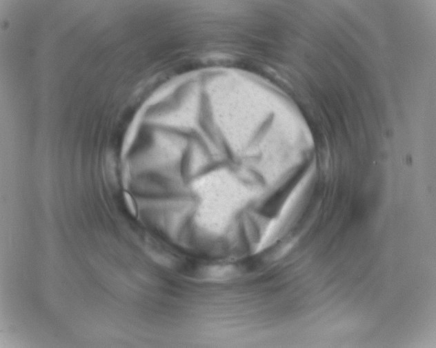 X0000077380575200611172017