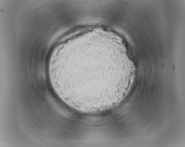 X0000077380582200611172016