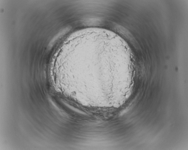 X0000077380586200611172016